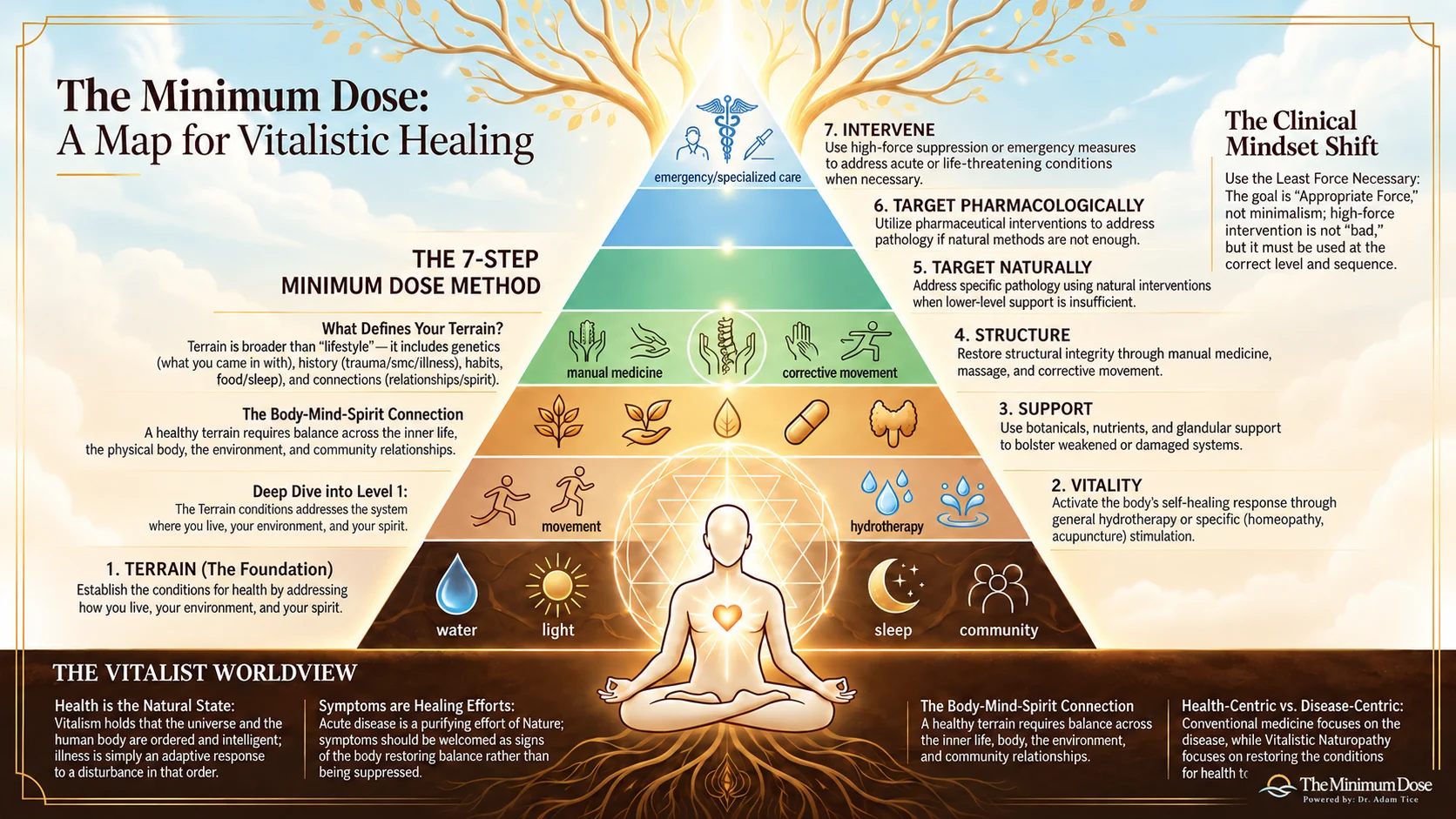 The Minimum Dose Healing Map: a seven-step map for vitalistic healing, from terrain at the foundation to emergency care at the top