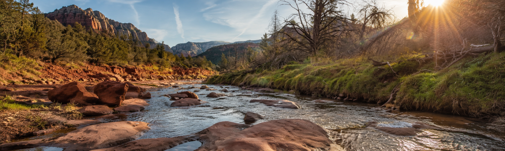 dr jennifer tice is a naturopathic pediatrician in sedona az